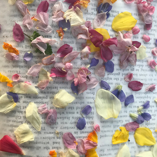 Liv's Leaves Updates