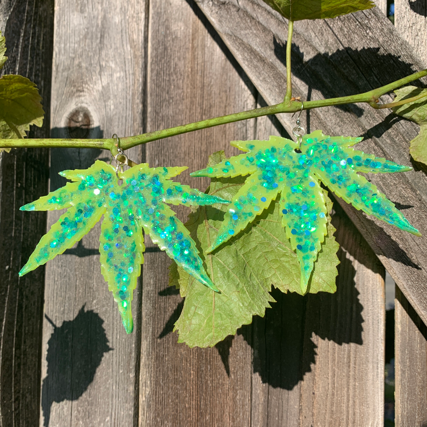 Leaves