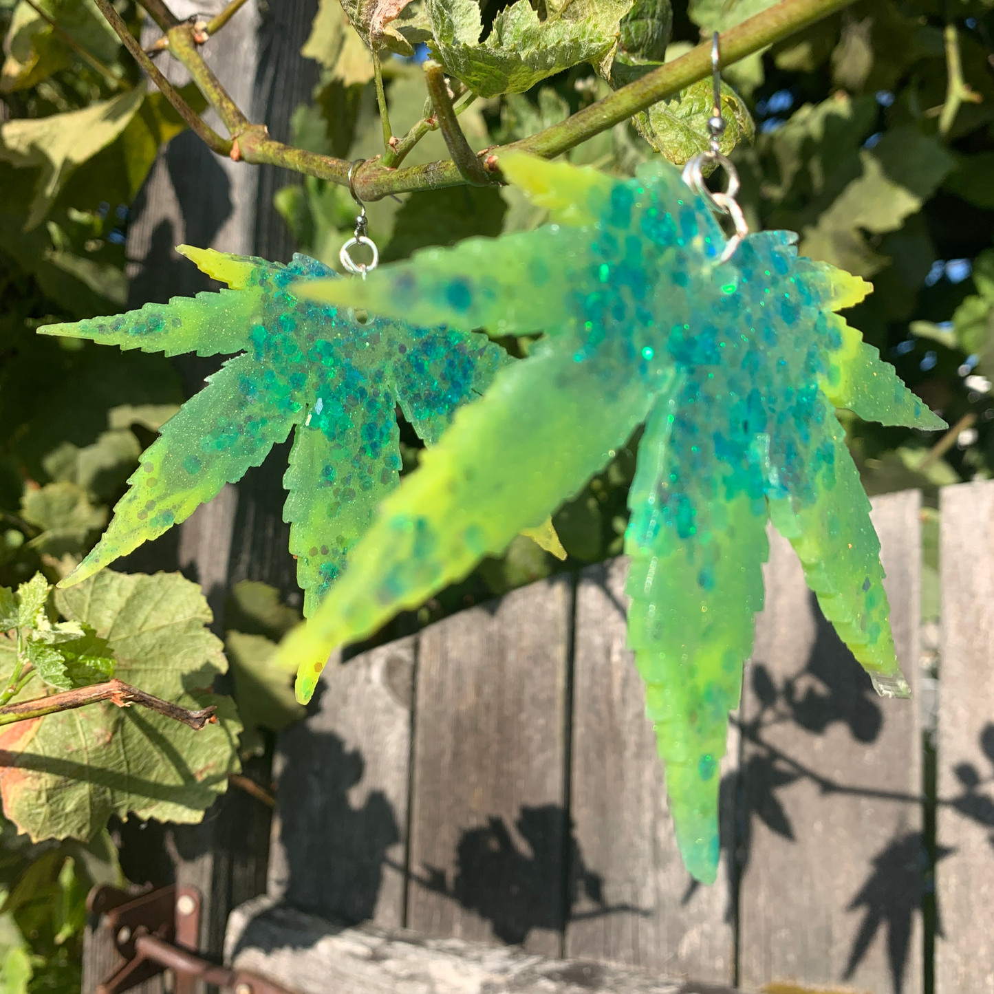 Leaves