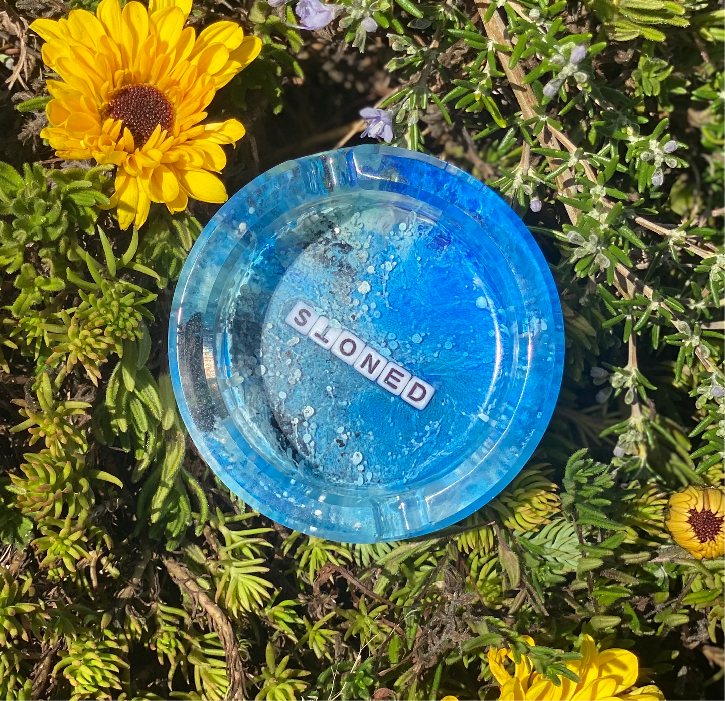 LivTray - Circle - ‘Stoned’